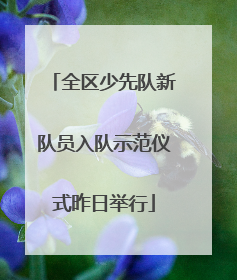 全区少先队新队员入队示范仪式昨日举行
